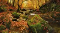秋の小川 落ち葉 風景画 写真からアートへ